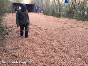 Fabrica di Roma - Le nocciole sulla strada