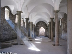 Viterbo - Piazza salutare - Le ex scuderie dopo i lavori