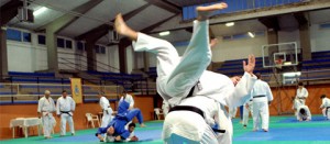 Sport - Judo - Un immagine della manifestazione dello scorso weekend