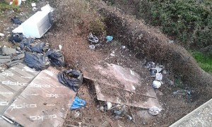 Orte - Discarica abusiva sulla  SS675 al km 70,500