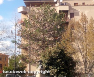 Viterbo - Giardino del Carmine infestato dalle processionarie