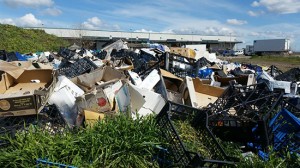 La discarica nei pressi dei mercati generali
