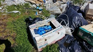 La discarica nei pressi dei mercati generali