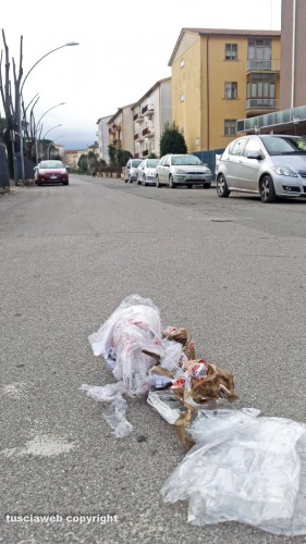 Viterbo - Pilastro - Immondizia per strada