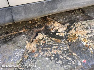Viterbo - Piazza Santa Maria Nuova - Fuoriuscita di liquame dalla fogna