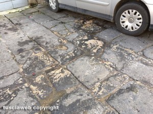 Viterbo - Piazza Santa Maria Nuova - Fuoriuscita di liquame dalla fogna