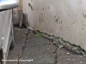 Viterbo - Piazza Santa Maria Nuova - Fuoriuscita di liquame dalla fogna