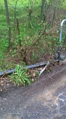 Viterbo - Buche e piante su strada Signorino