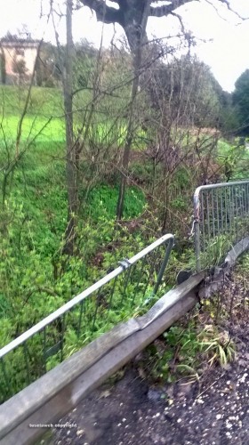 Viterbo - Buche e piante su strada Signorino