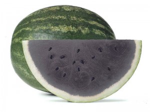 Il black watermelon o cocomero cinerino
