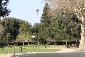 Viterbo - I lampioni a pratogiardino Lucio Battisti
