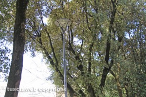 Viterbo - I lampioni a pratogiardino Lucio Battisti