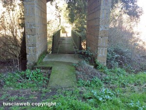 Viterbo - Necropoli etrusca di Castel D'Asso - Il ponte rotto