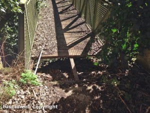 Viterbo - Necropoli etrusca di Castel D'Asso - Il ponte rotto