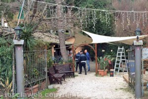 Viterbo - Valle Faul - I controlli al locale