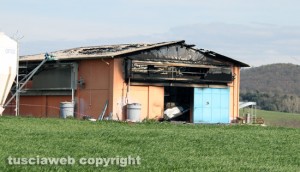 Vetralla - L'allevamento di galline distrutto dalle fiamme
