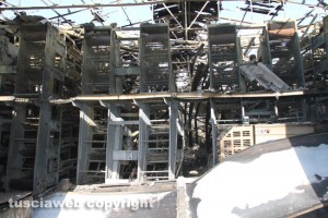 Vetralla - L'allevamento di galline distrutto dalle fiamme