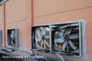 Vetralla - L'allevamento di galline  distrutto dalle fiamme