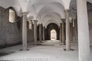 Viterbo - Le ex scuderie Sallupara