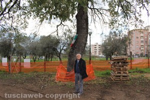 Viterbo - La palestra a santa Barbara - L'assessore Ricci davanti a una quercia