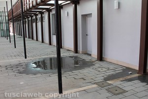IMG_9945