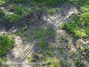 Graffignano - L'area vicino alla villa della rapina