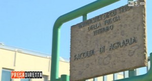 Università della Tuscia - Facoltà di Agraria