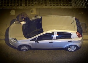 Violenza sulle donne - La campagna informativa della polizia