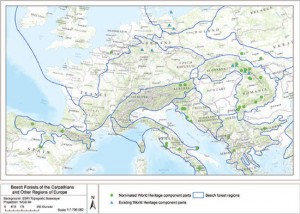 Foreste vetuste -  Una delle mappe presenti nel dossier