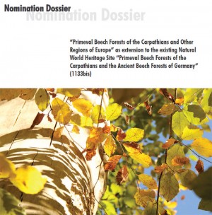 Il dossier presentato all'Unesco per la candidature delle foreste