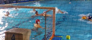 Sport - Pallanuoto - I ragazzi del Nuoto club Viterbo