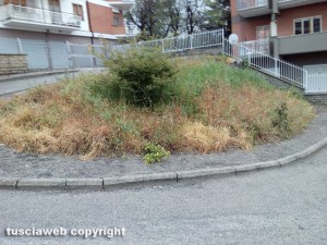 Viterbo - I giardini in via Carlo Cattaneo