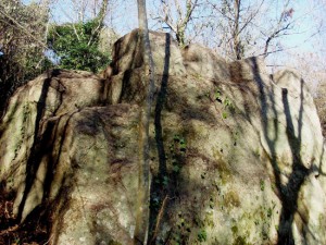 Bomarzo - Cagnemora - Ritrovamenti archeologici etruschi 