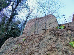 Bomarzo - Cagnemora - Ritrovamenti archeologici etruschi 