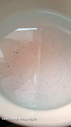 Viterbo - Acqua marrone dai rubinetti al quartiere Pilastro
