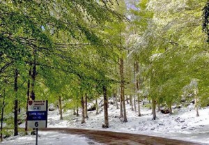 Neve sull'Amiata