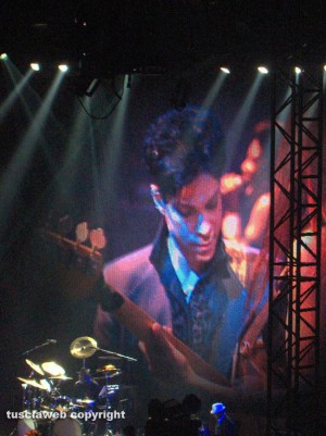 Roma - Prince in concerto al Palalottomatica nel 2010