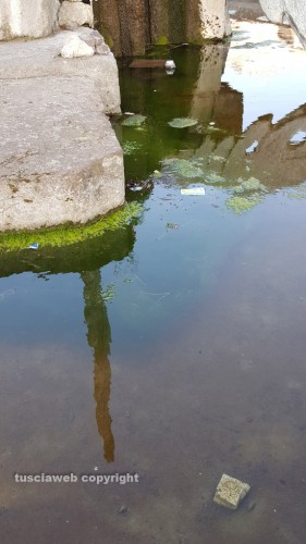 Viterbo - Il degrado della fontana al Sacrario