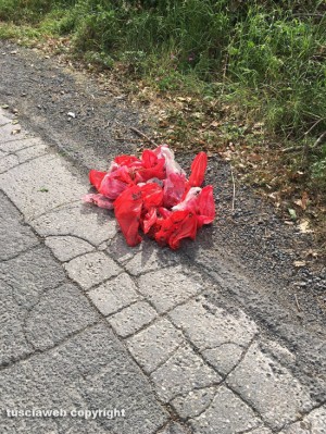 Viterbo Clean up pulisce strada Signorino