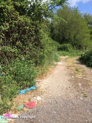 Viterbo - Discarica alle Sorgenti