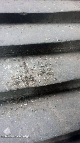 Viterbo - La scalette che portano in via Valle Piatta piene di escrementi