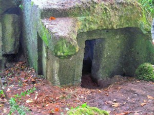 Bomarzo - Cagnemora - Ritrovamenti archeologici etruschi 
