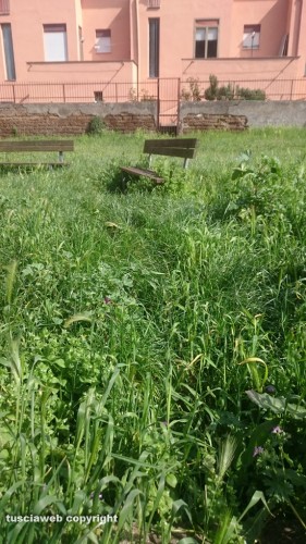 Viterbo - Degrado al parco della Quercia
