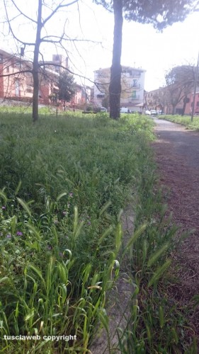 Viterbo - Degrado al parco della Quercia