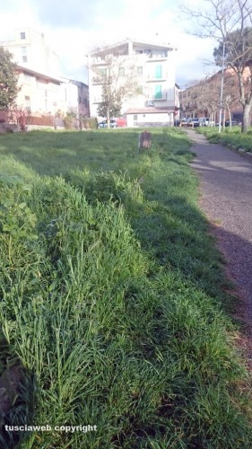 Viterbo - Degrado al parco della Quercia