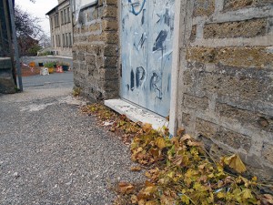 San Martino al Cimino - L’ingresso delle scuole irrorato di glyphosate