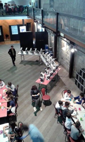 ViterboScienza