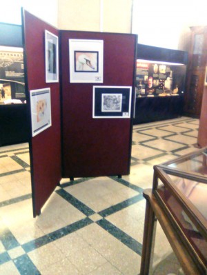 Mostra del Midossi  al museo civico di zoologia a Roma