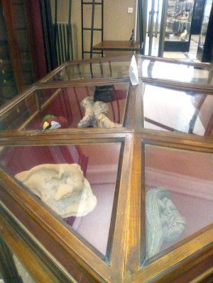 Mostra del Midossi  al museo civico di zoologia a Roma