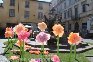 Viterbo - San Pellegrino in Fiore 2016 - Piazza delle Erbe